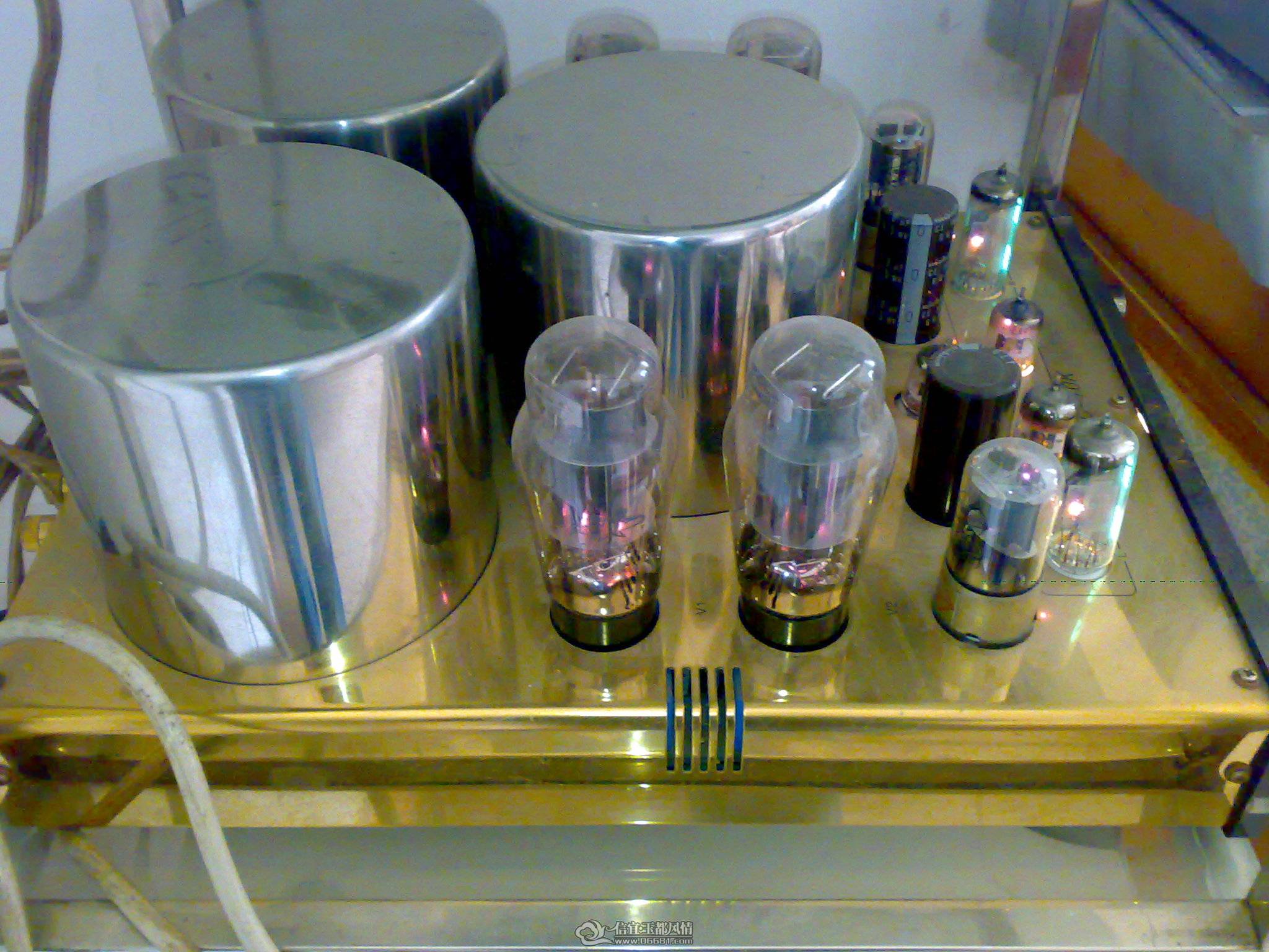 20110130005.jpg