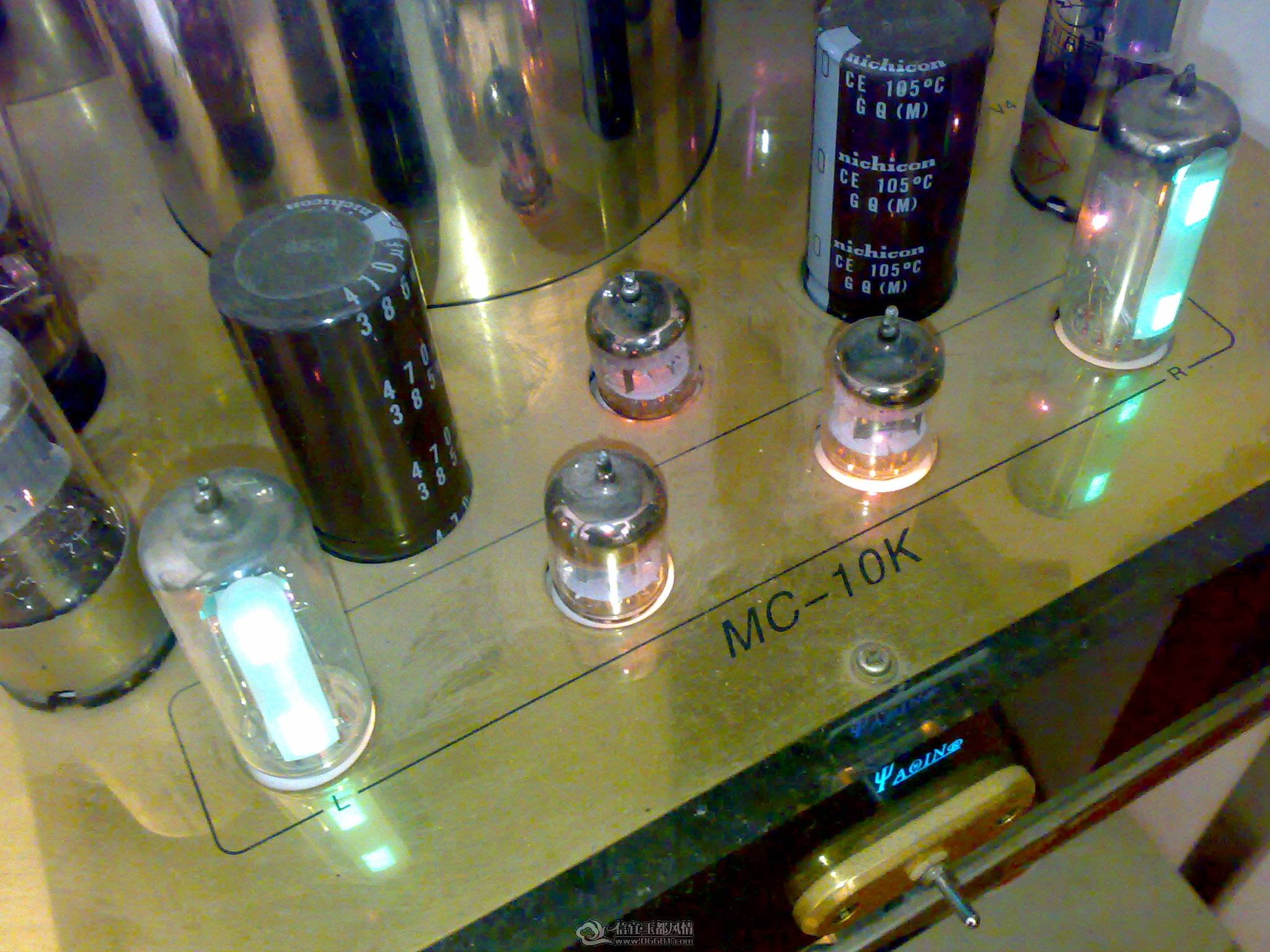 20110130007.jpg