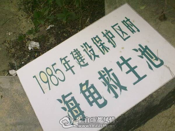 201101021203.jpg