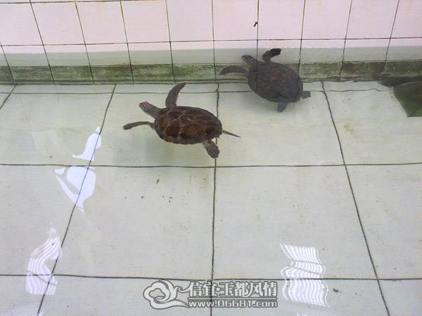 201101011155.jpg