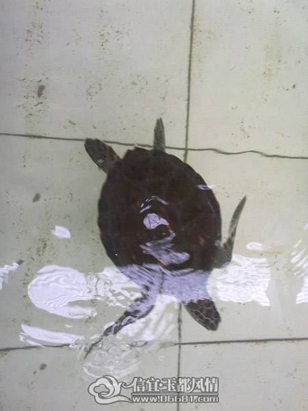 201101011154.jpg