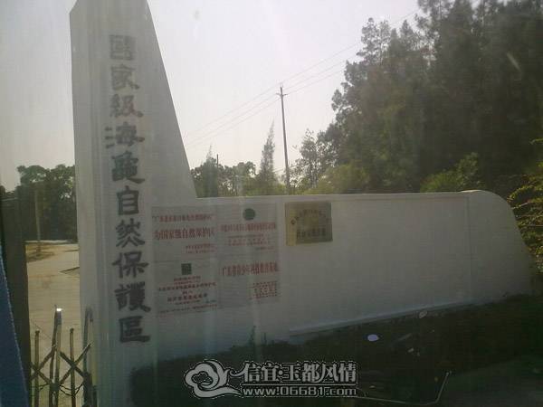 201012311068.jpg
