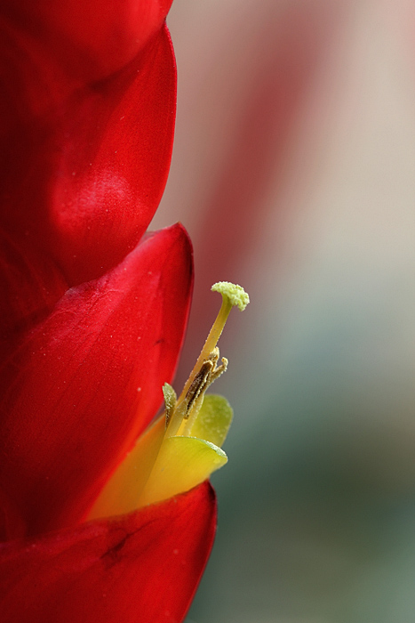 IMG_8348.JPG