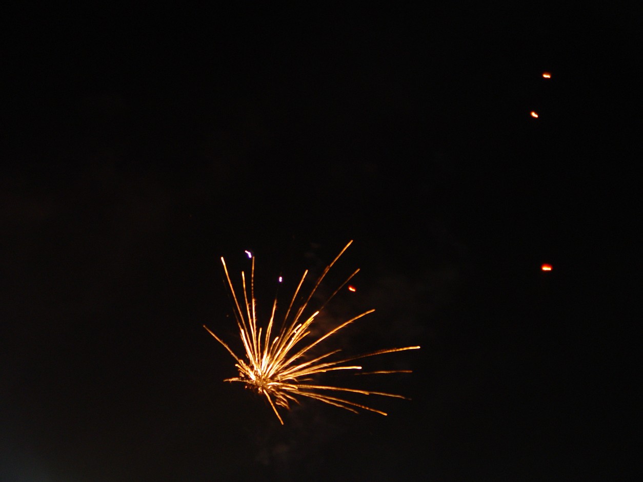 DSC02921.JPG