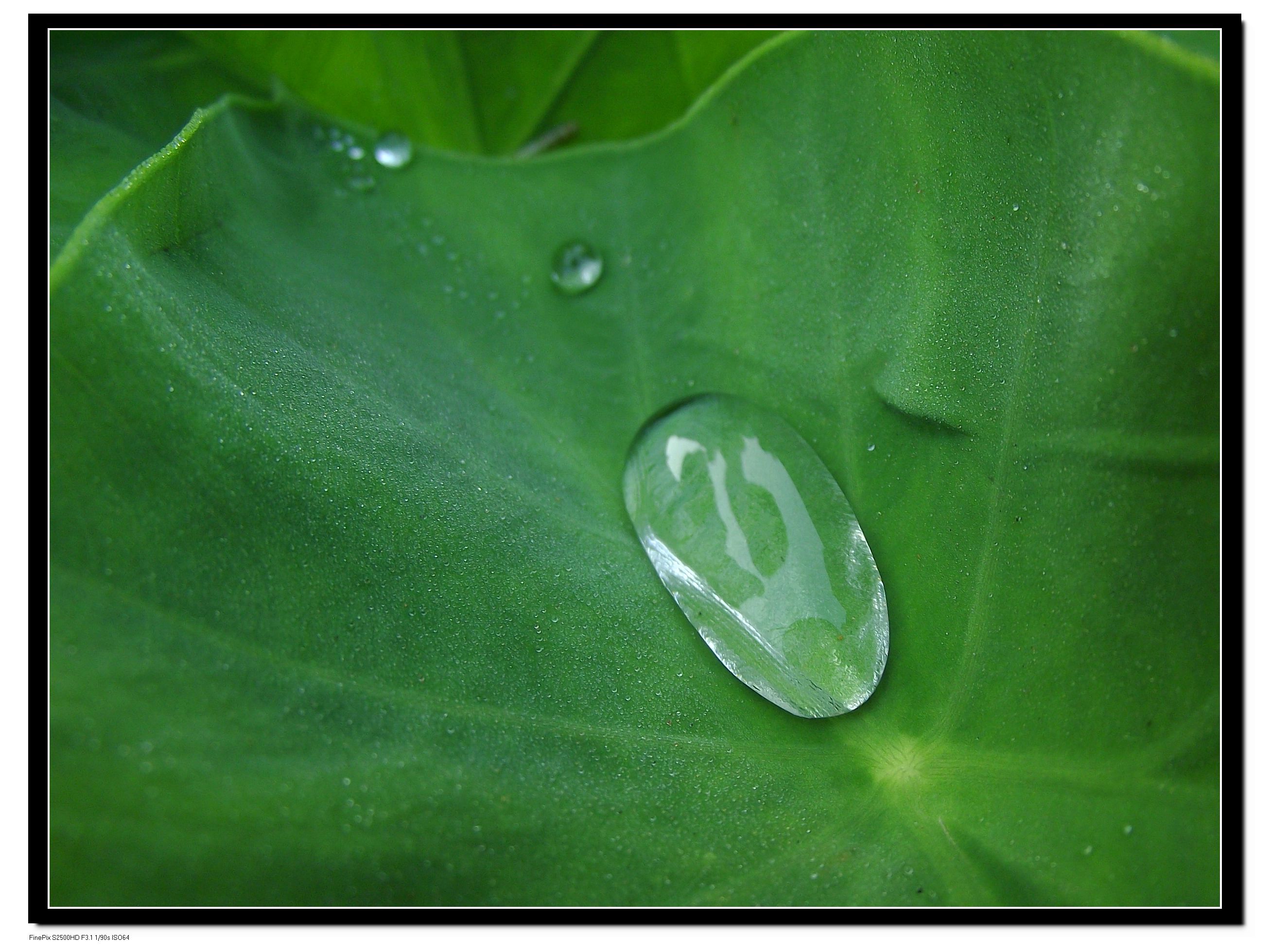 DSCF3998.jpg