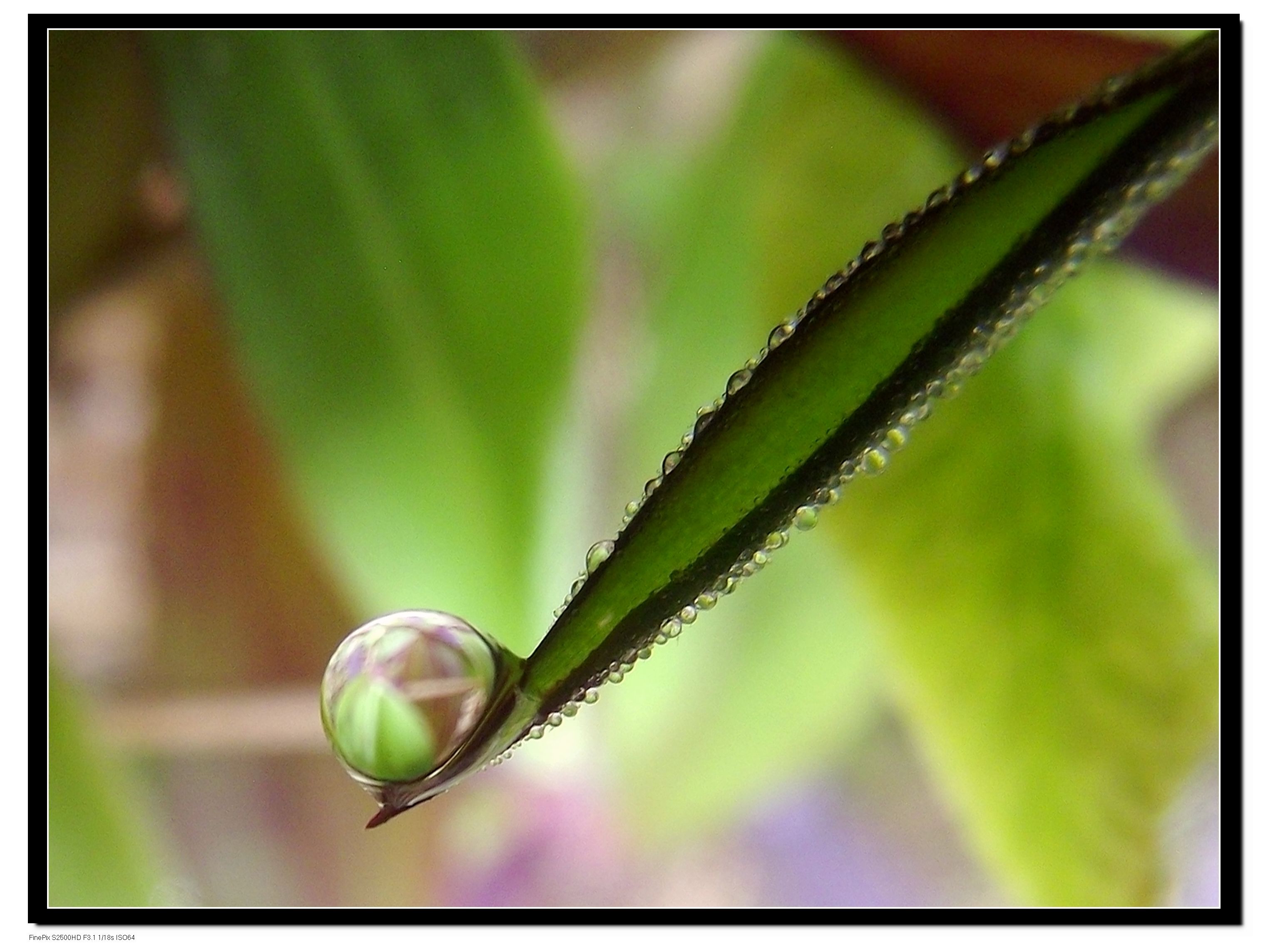 DSCF4067 ����.jpg