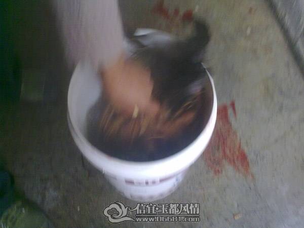 201102021278.jpg