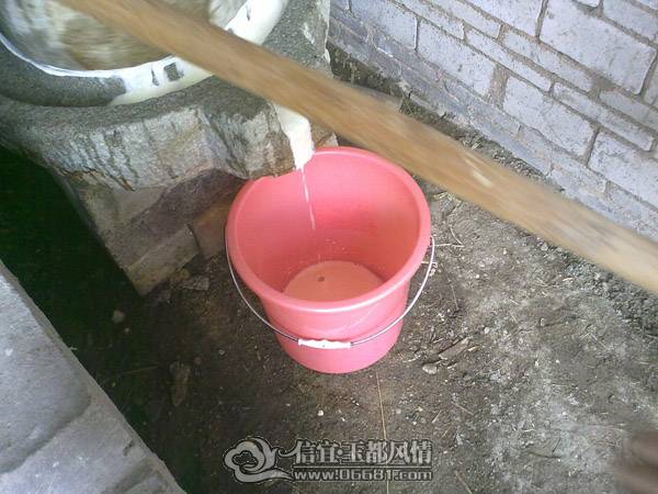 201102021292.jpg