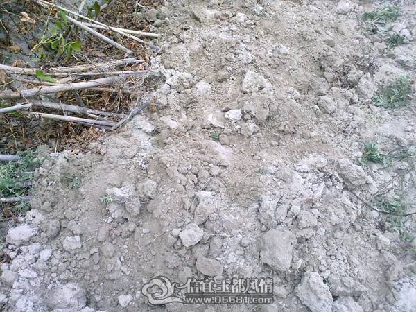 201102071390.jpg