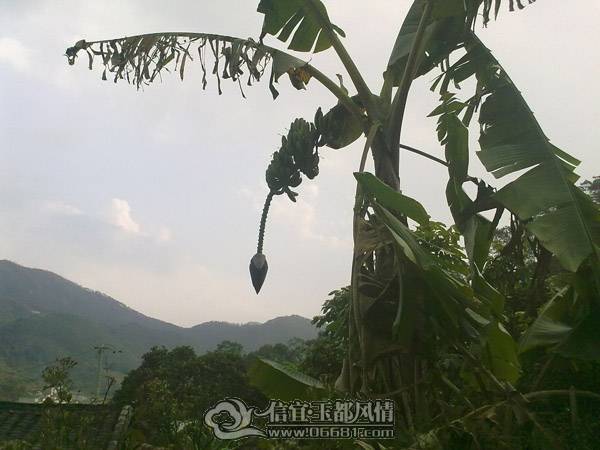 201102071384.jpg