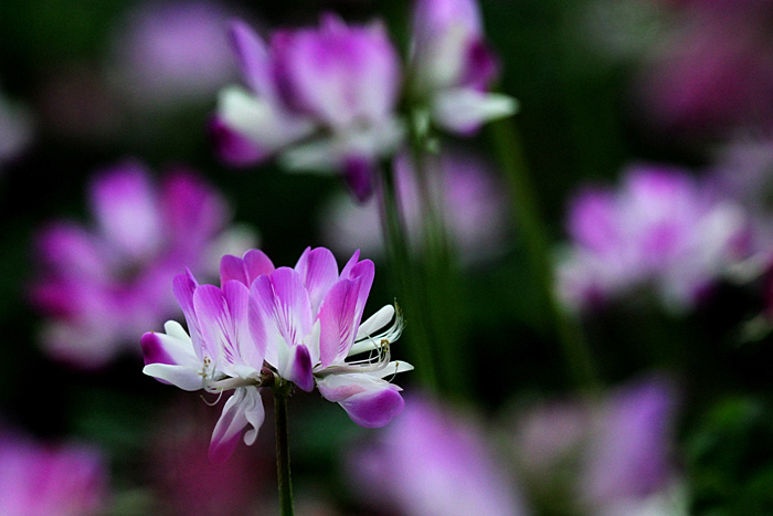 b (3).JPG