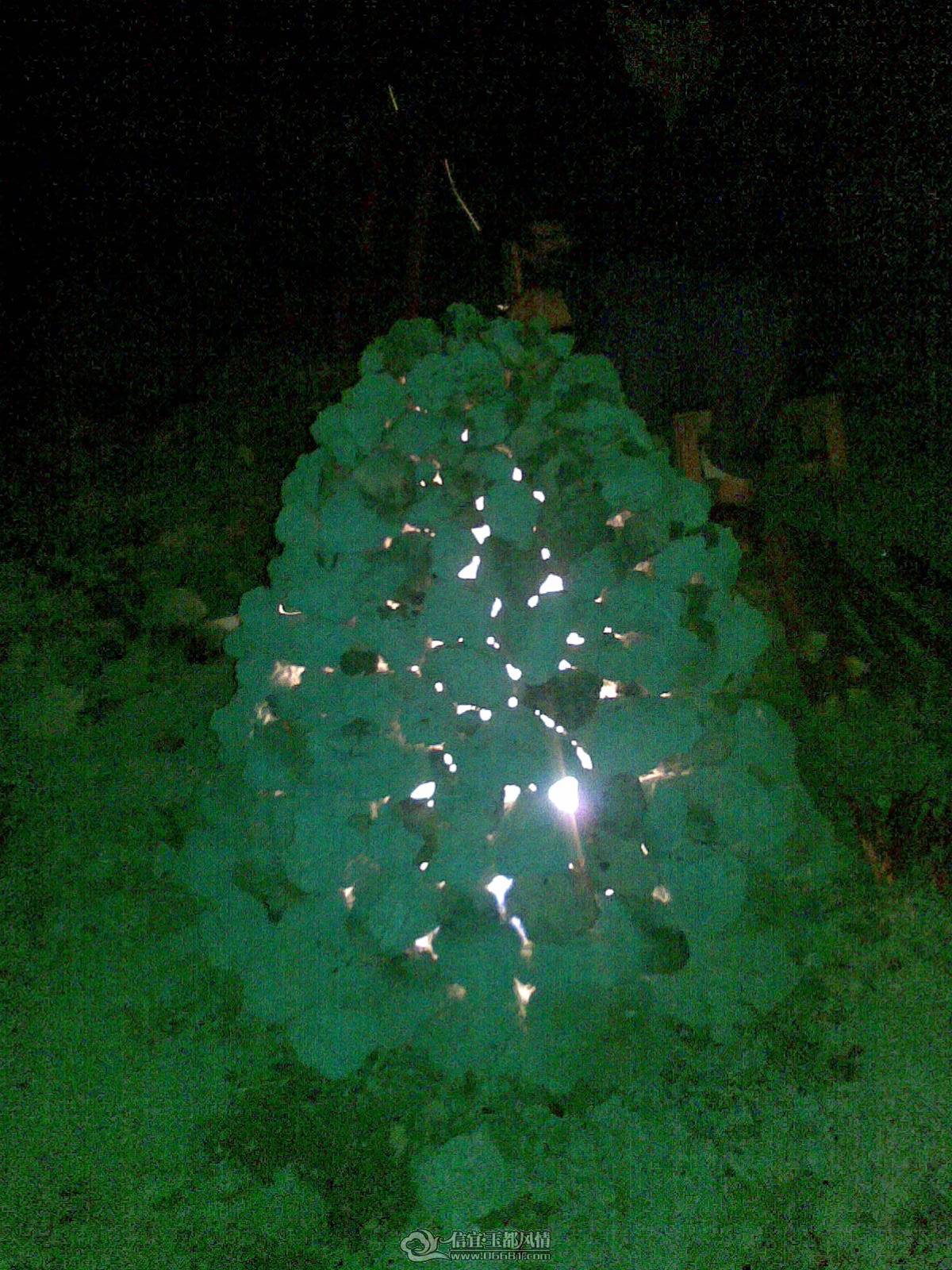 20110208_011.jpg