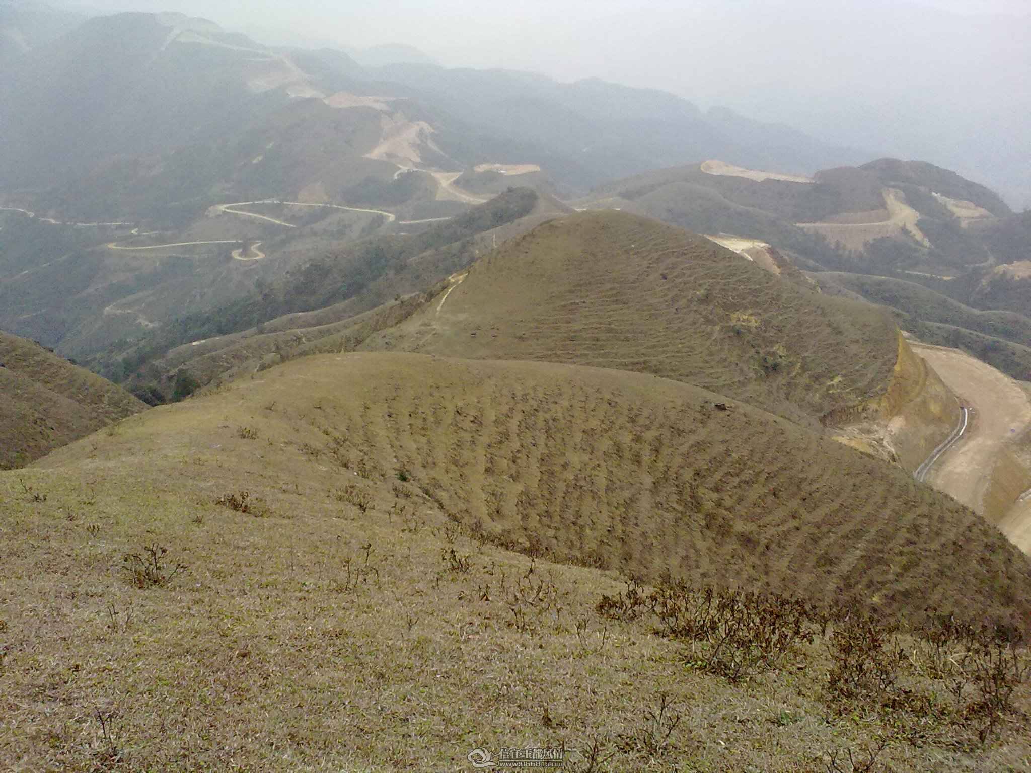 20110210143.jpg