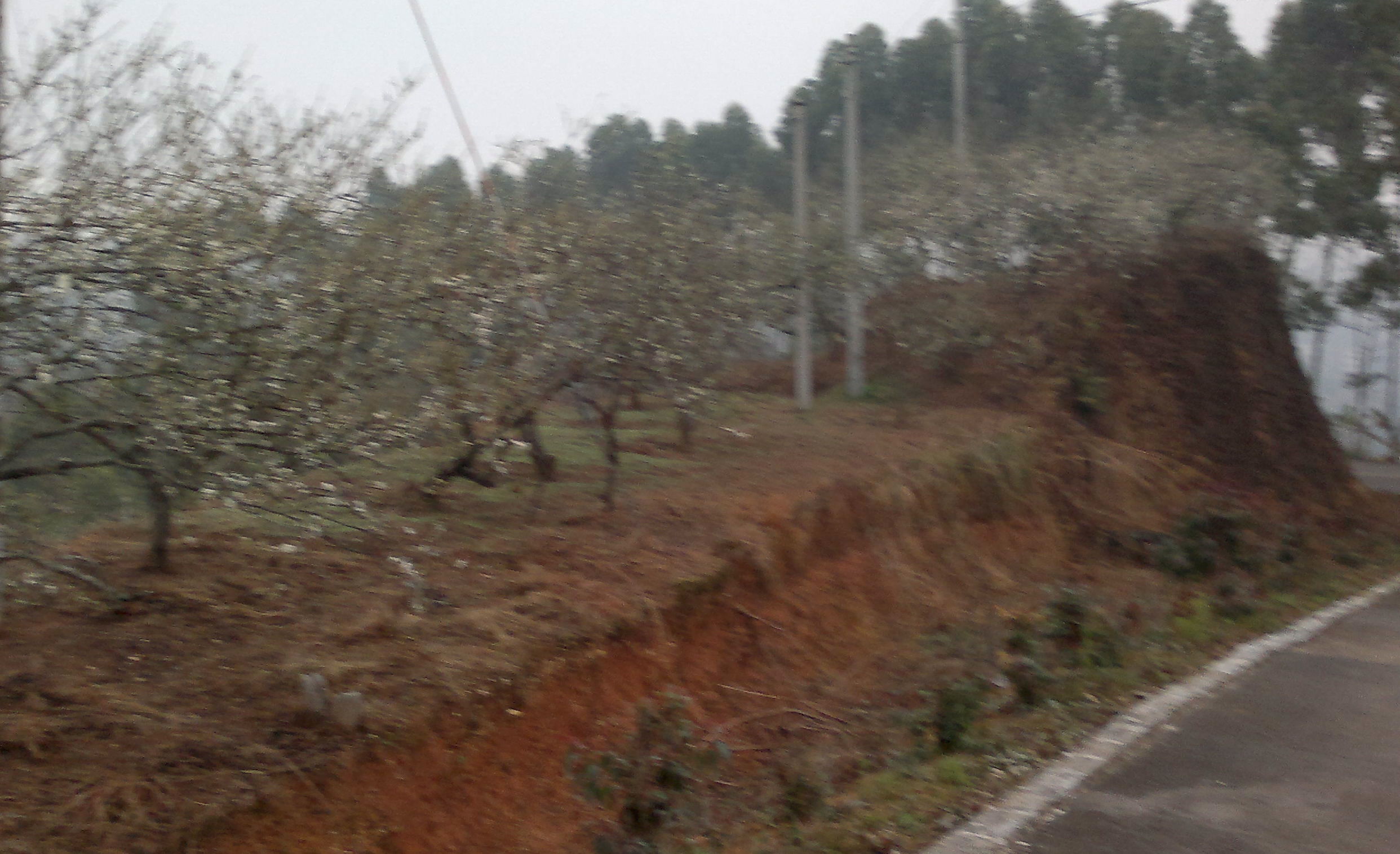 20110217029_1.jpg