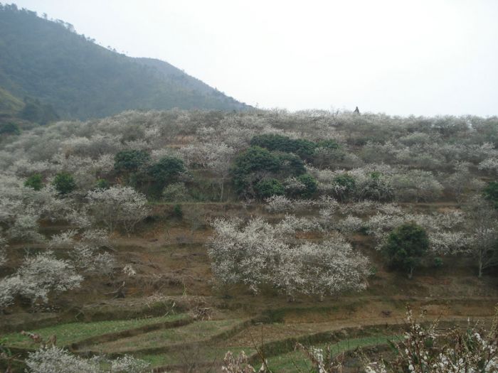 DSC08525.JPG
