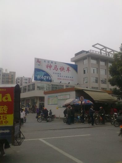 20110124233.jpg