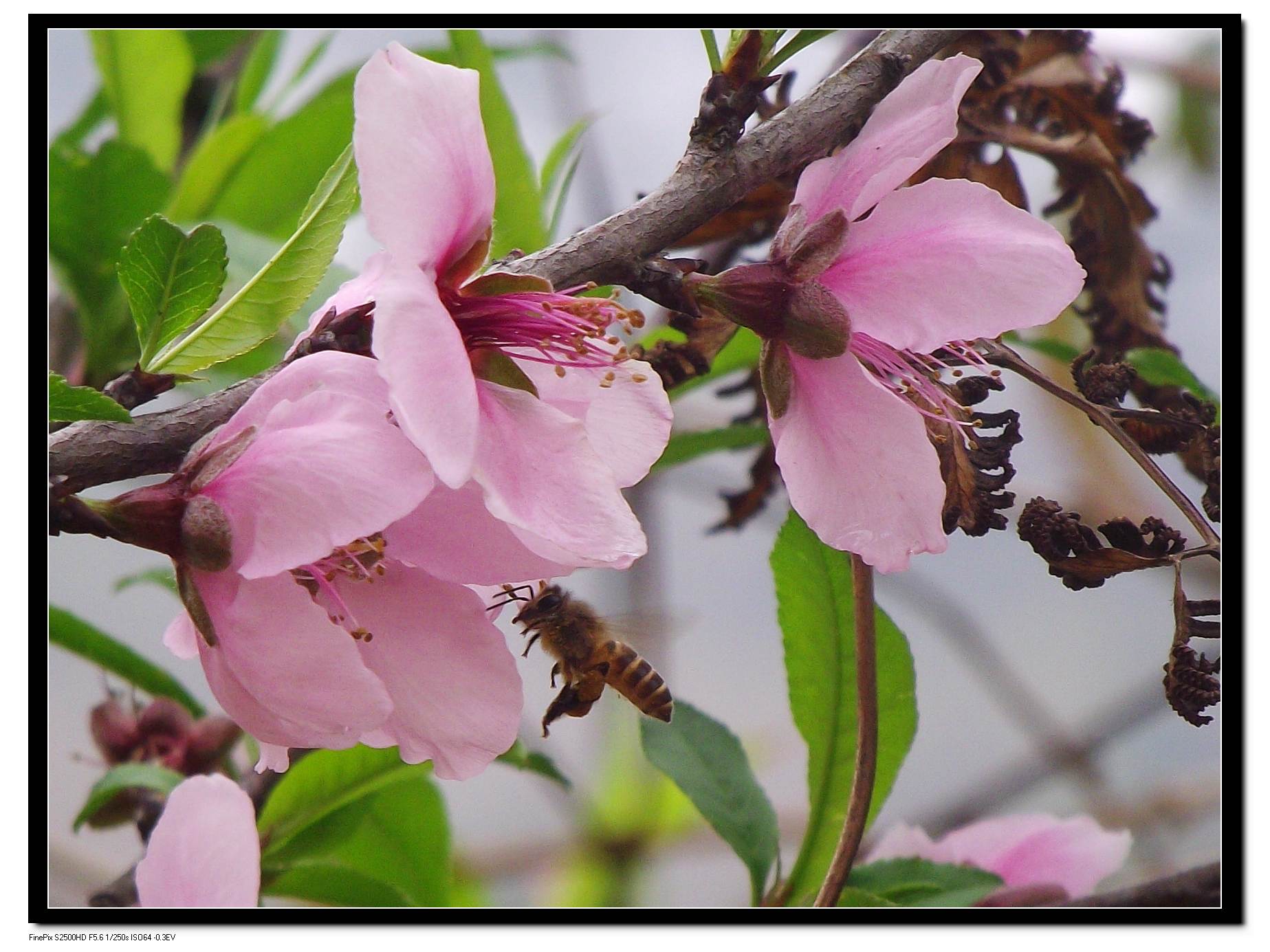 DSCF4719.JPG