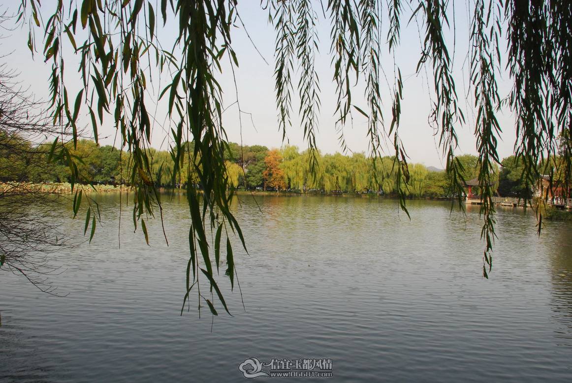 DSC_6859_������С.jpg