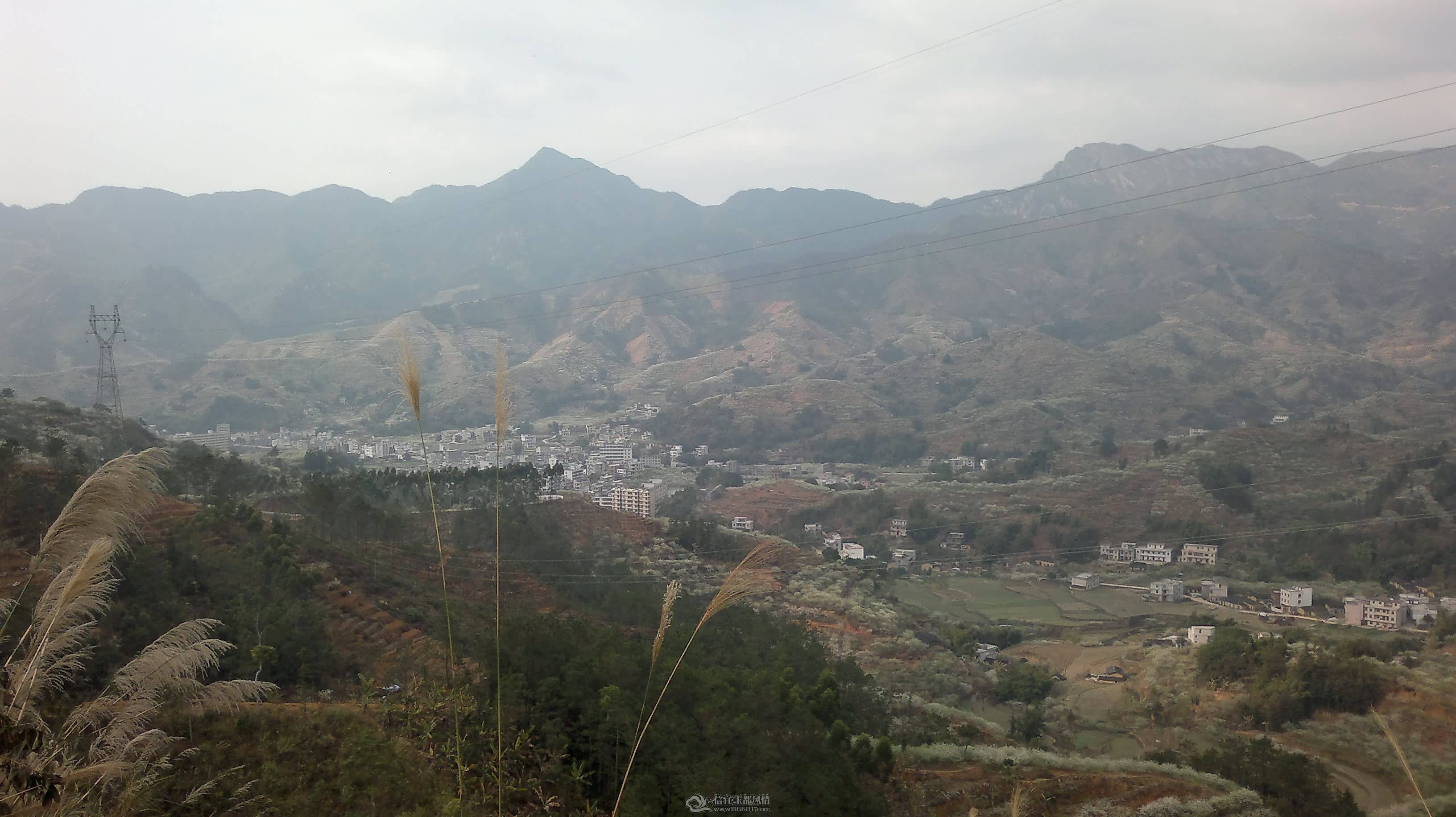 20110225019.jpg