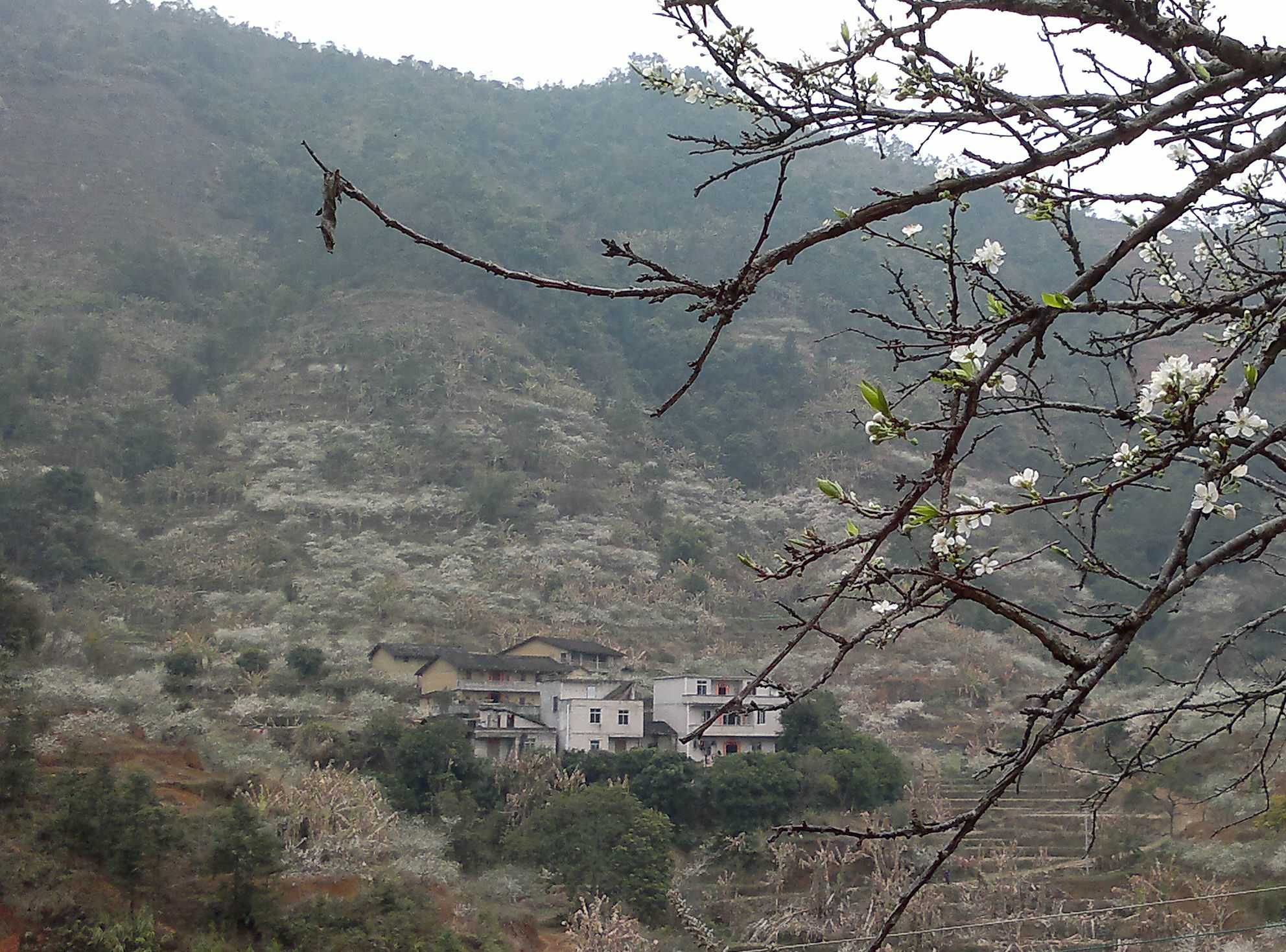 20110220046_1.jpg