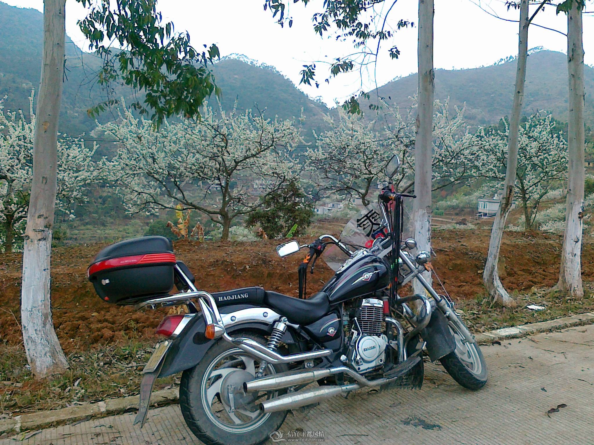 20110224650.jpg