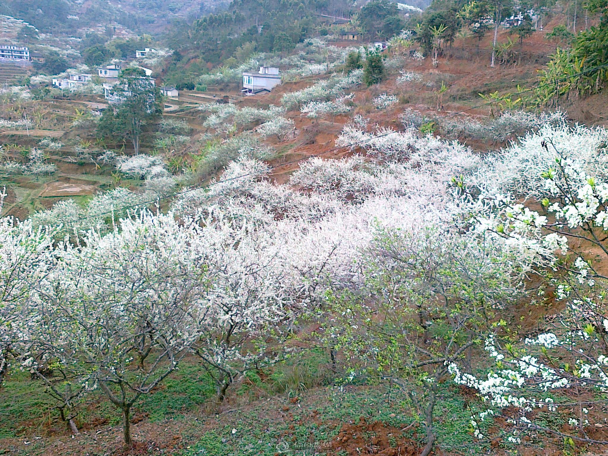 20110224651.jpg