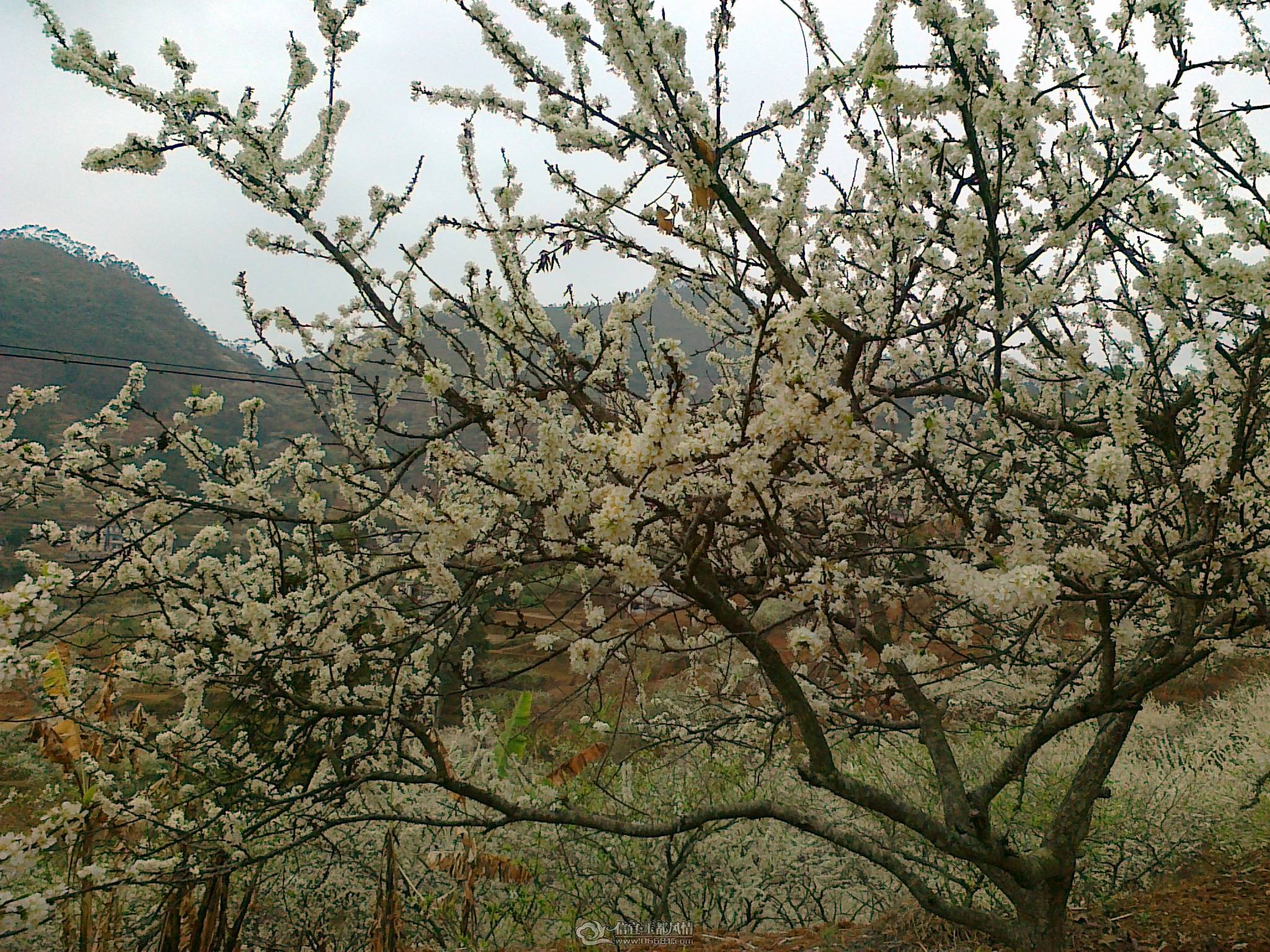 20110224654.jpg