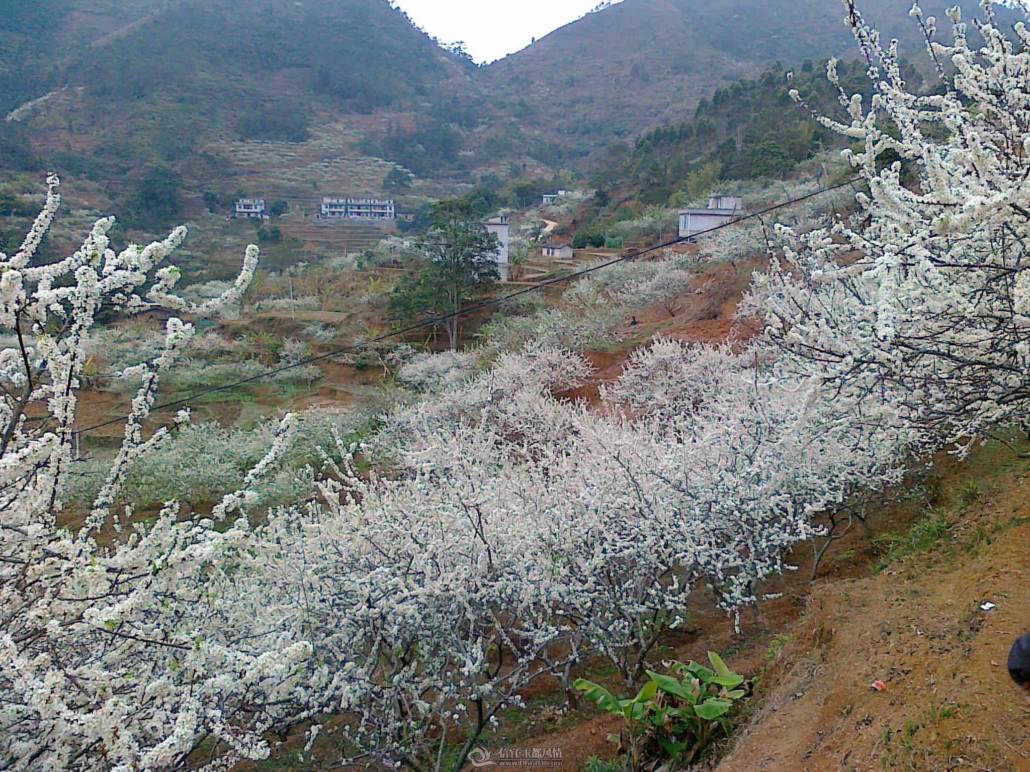 20110224657.jpg