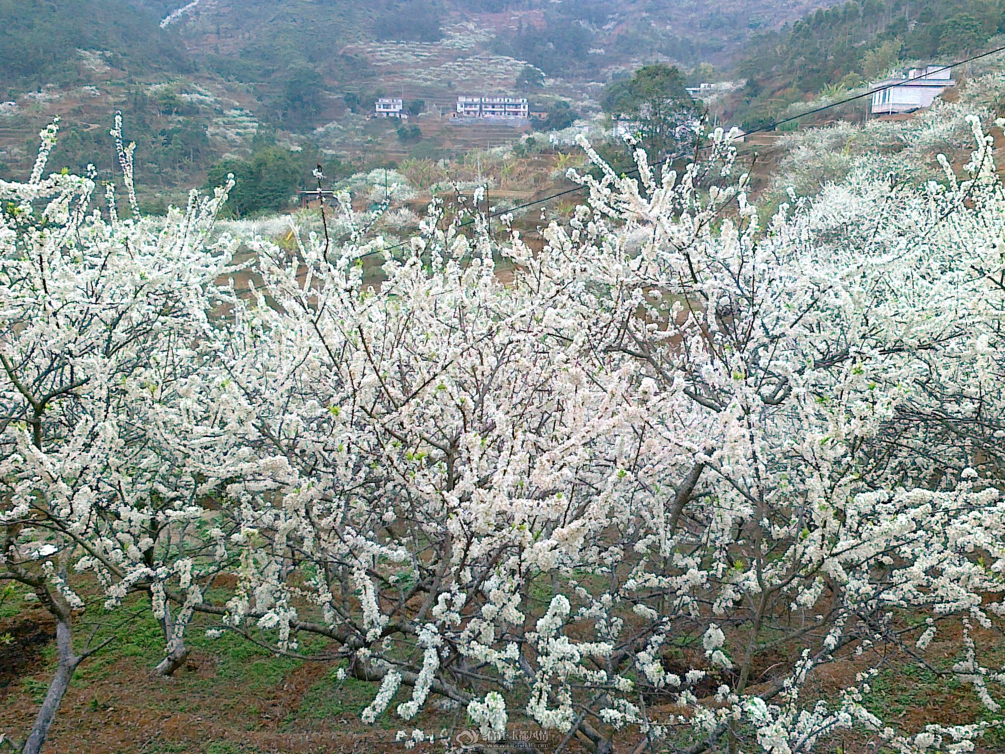 20110224665.jpg