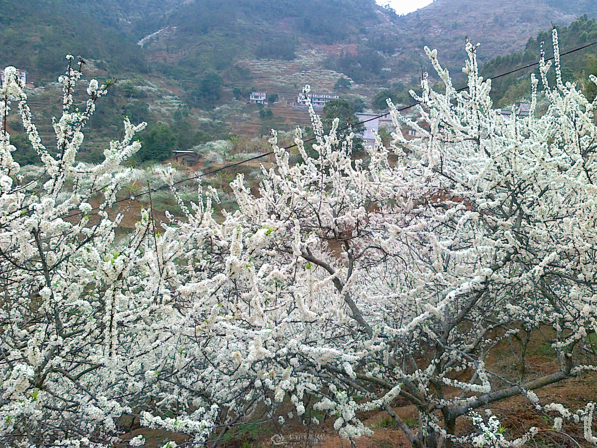 20110224671.jpg