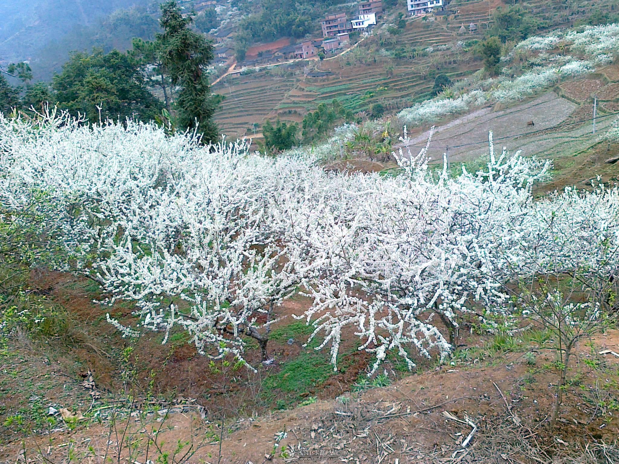 20110224672.jpg