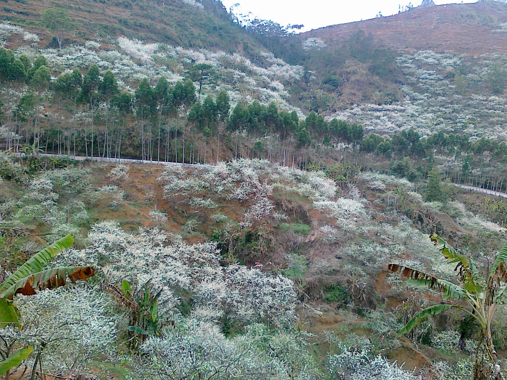 20110224720.jpg