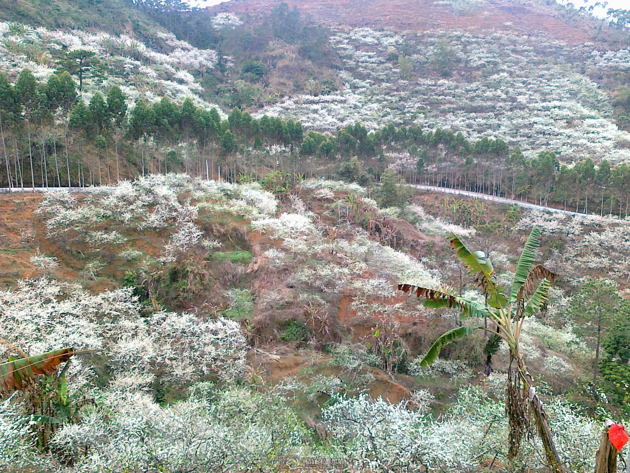 20110224723.jpg