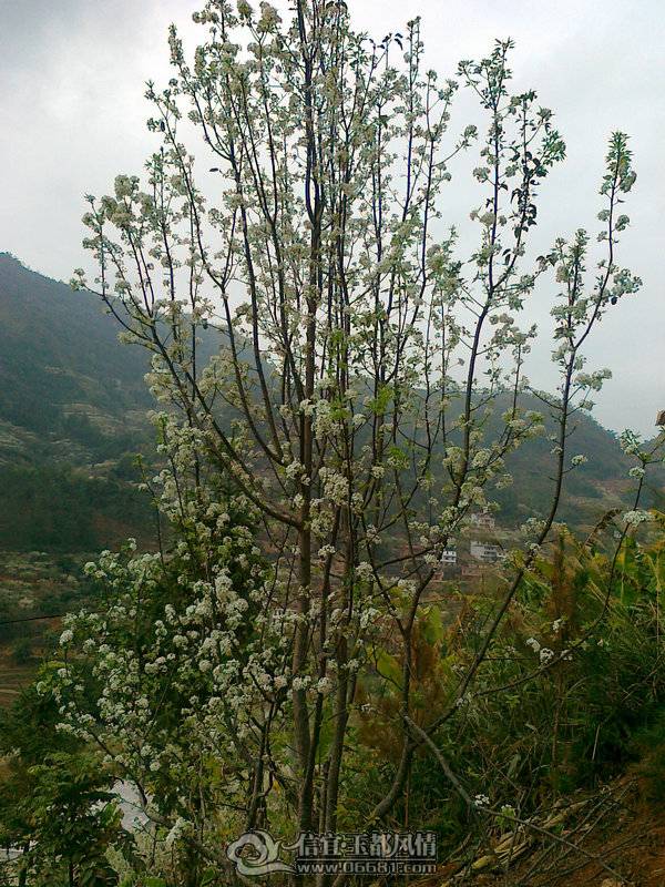 20110224647_1.jpg