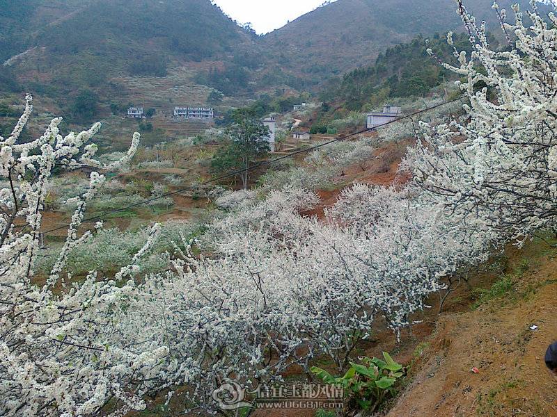 20110224657_1.jpg