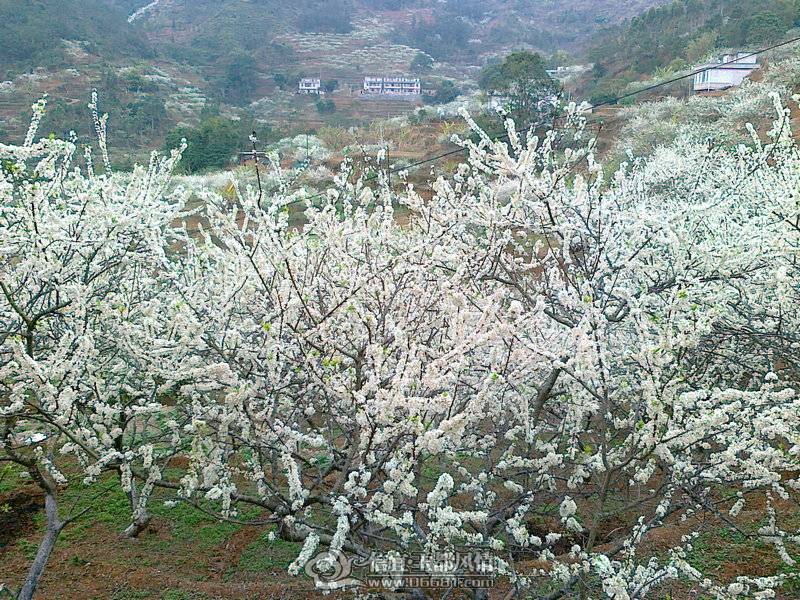20110224665_1.jpg