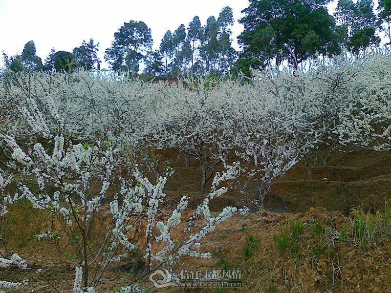 20110224666_1.jpg