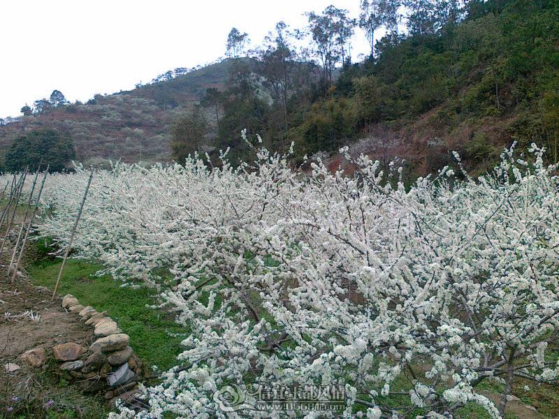 20110224780_1.jpg