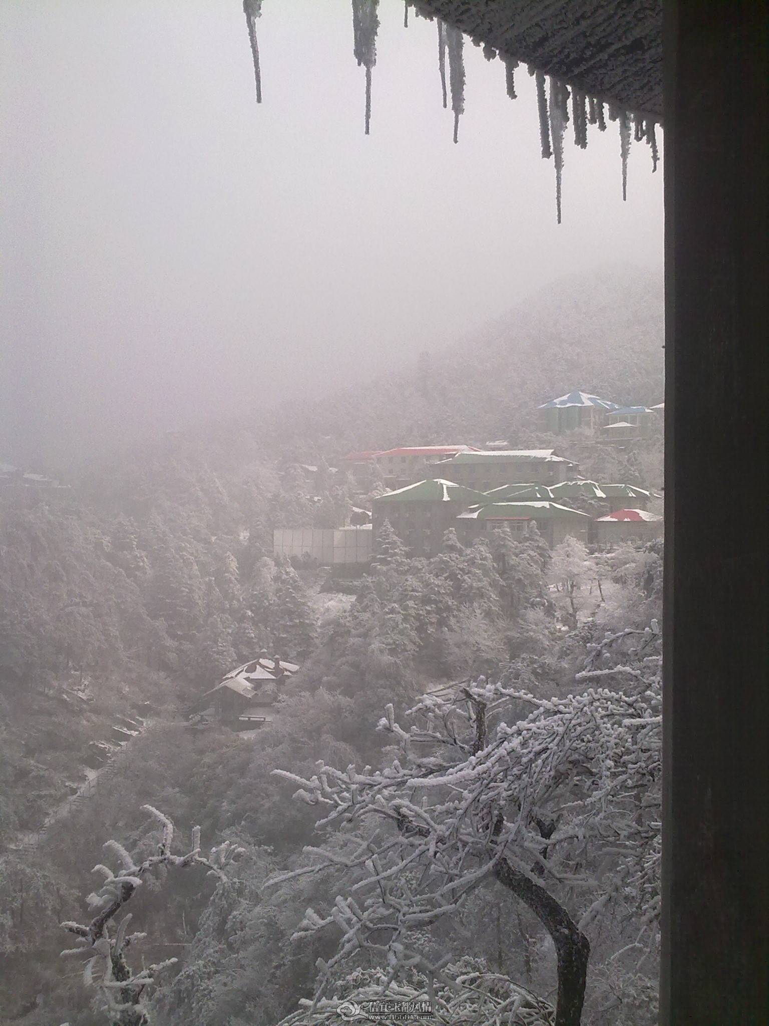 20110214049.jpg
