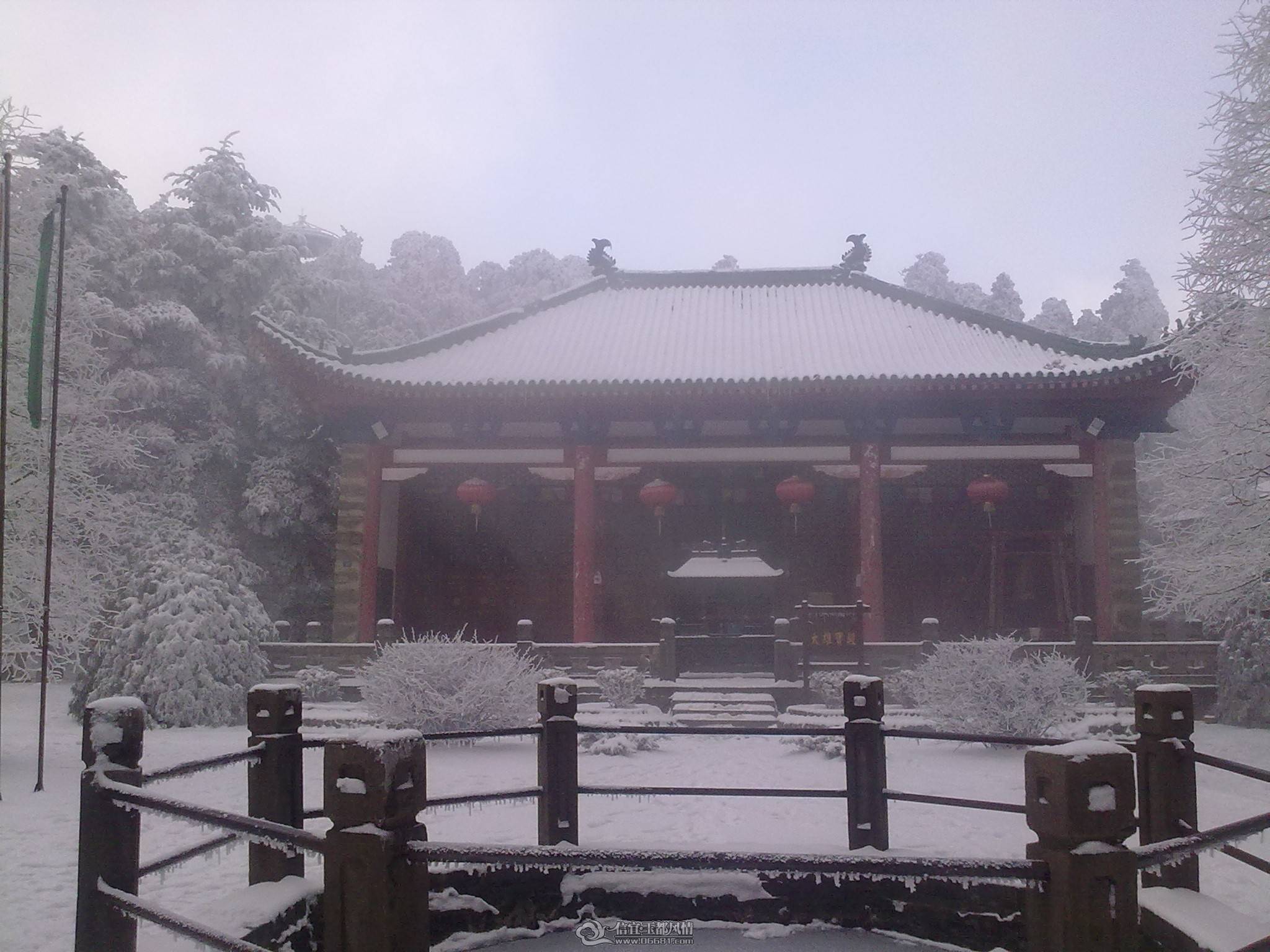 20110214029.jpg