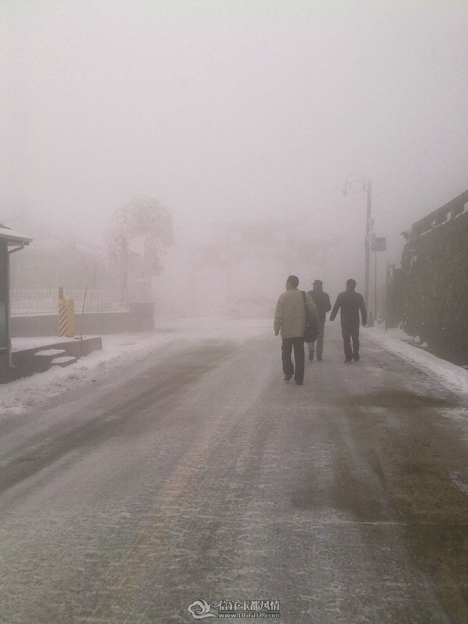 20110214012.jpg
