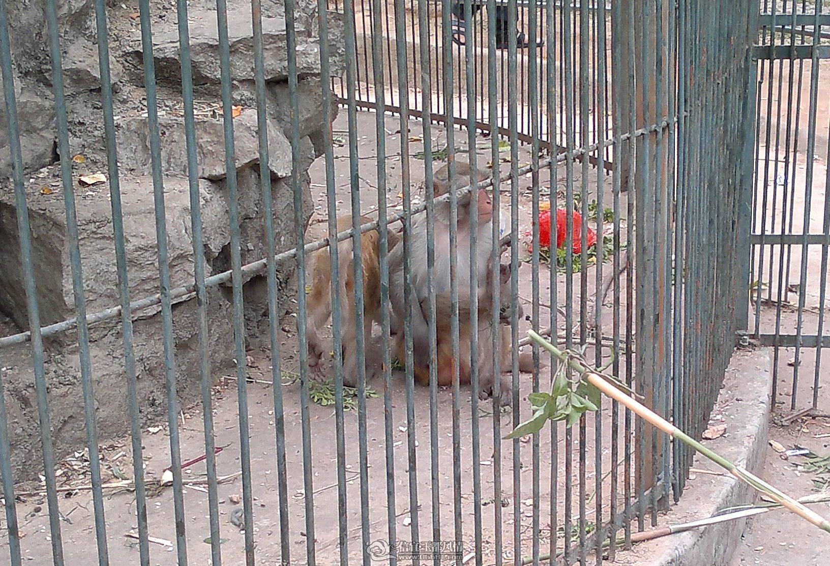 20110305001_1.jpg