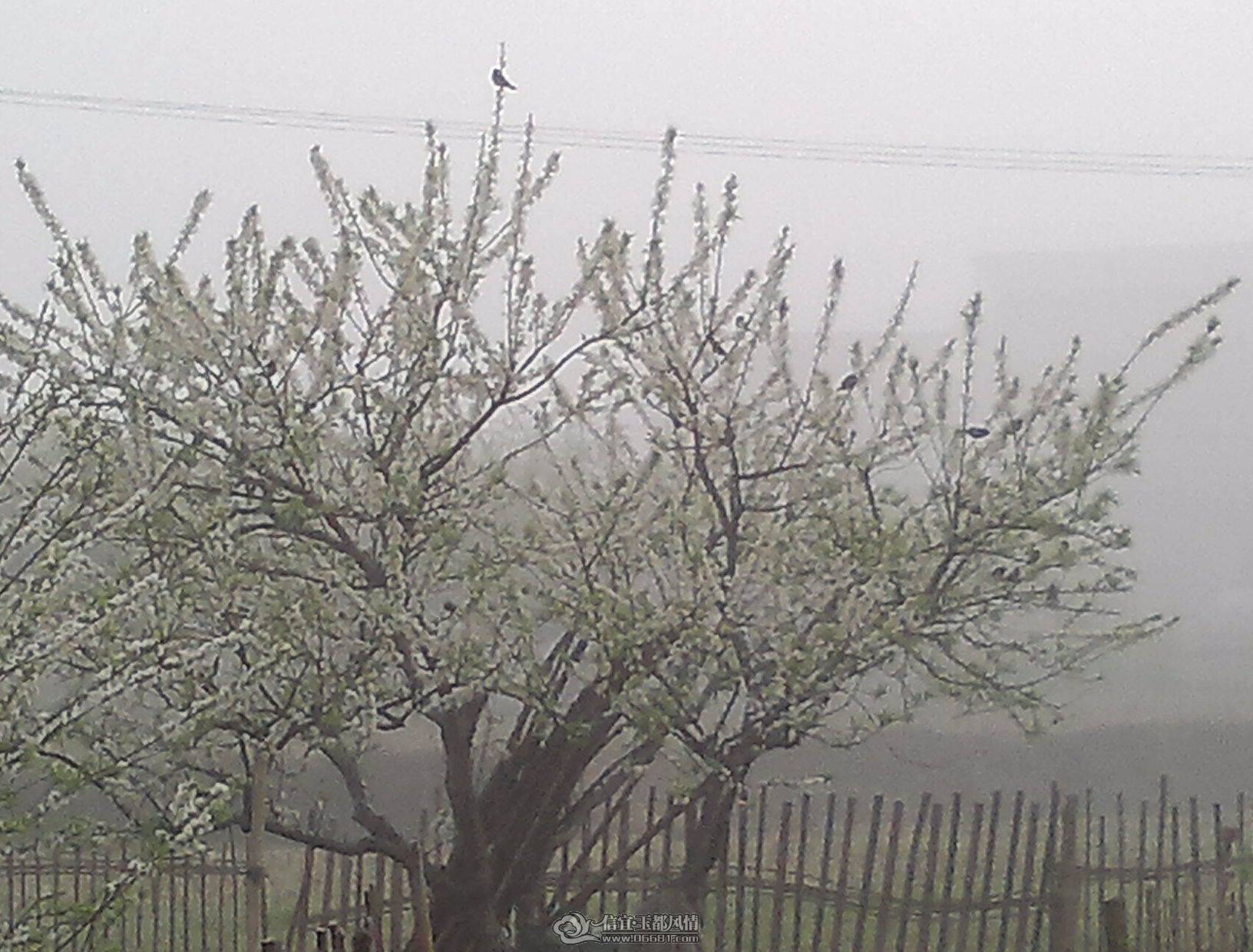 20110227_1.jpg