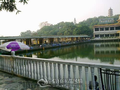201103131625.jpg
