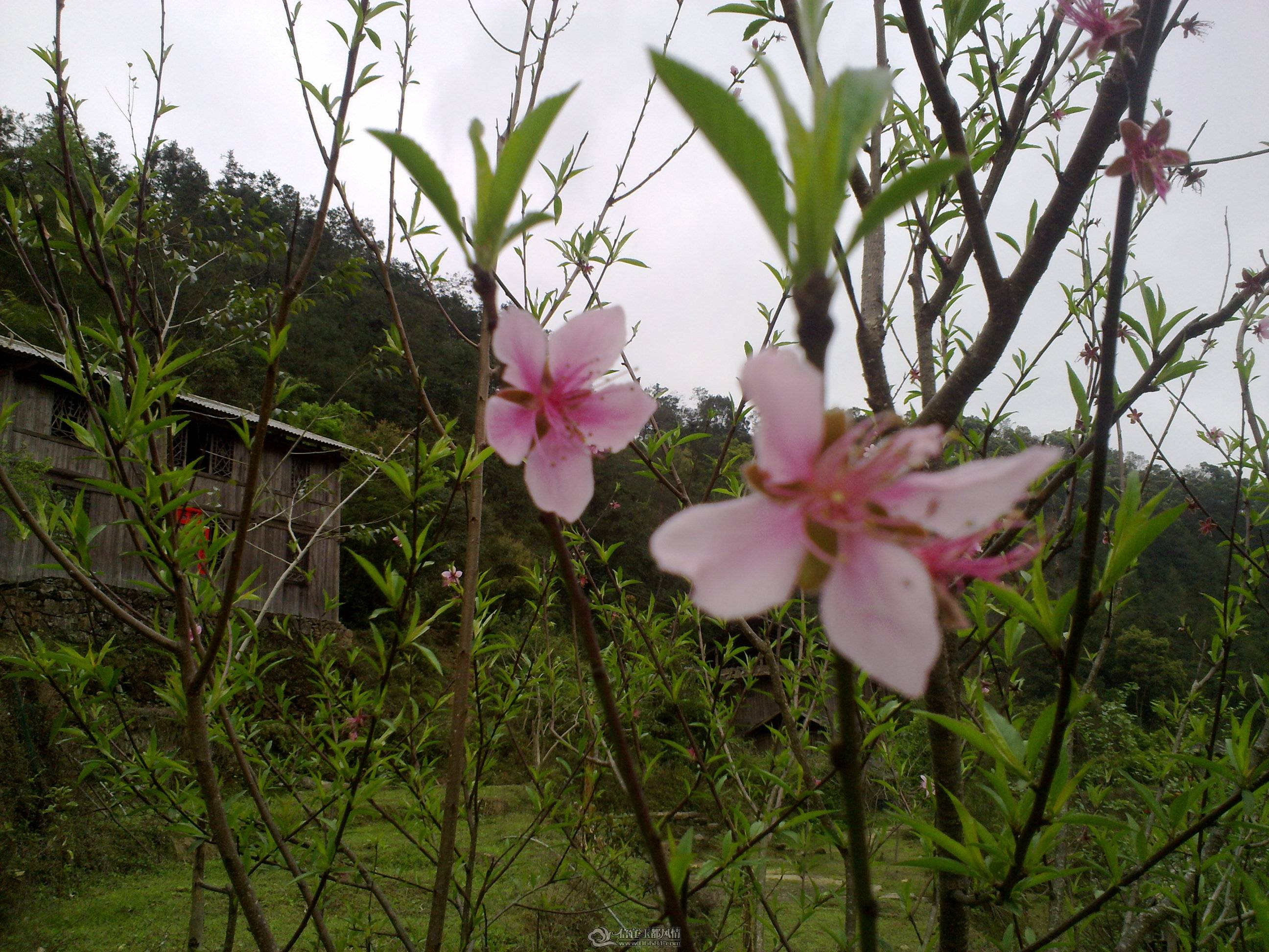 201103241227.jpg