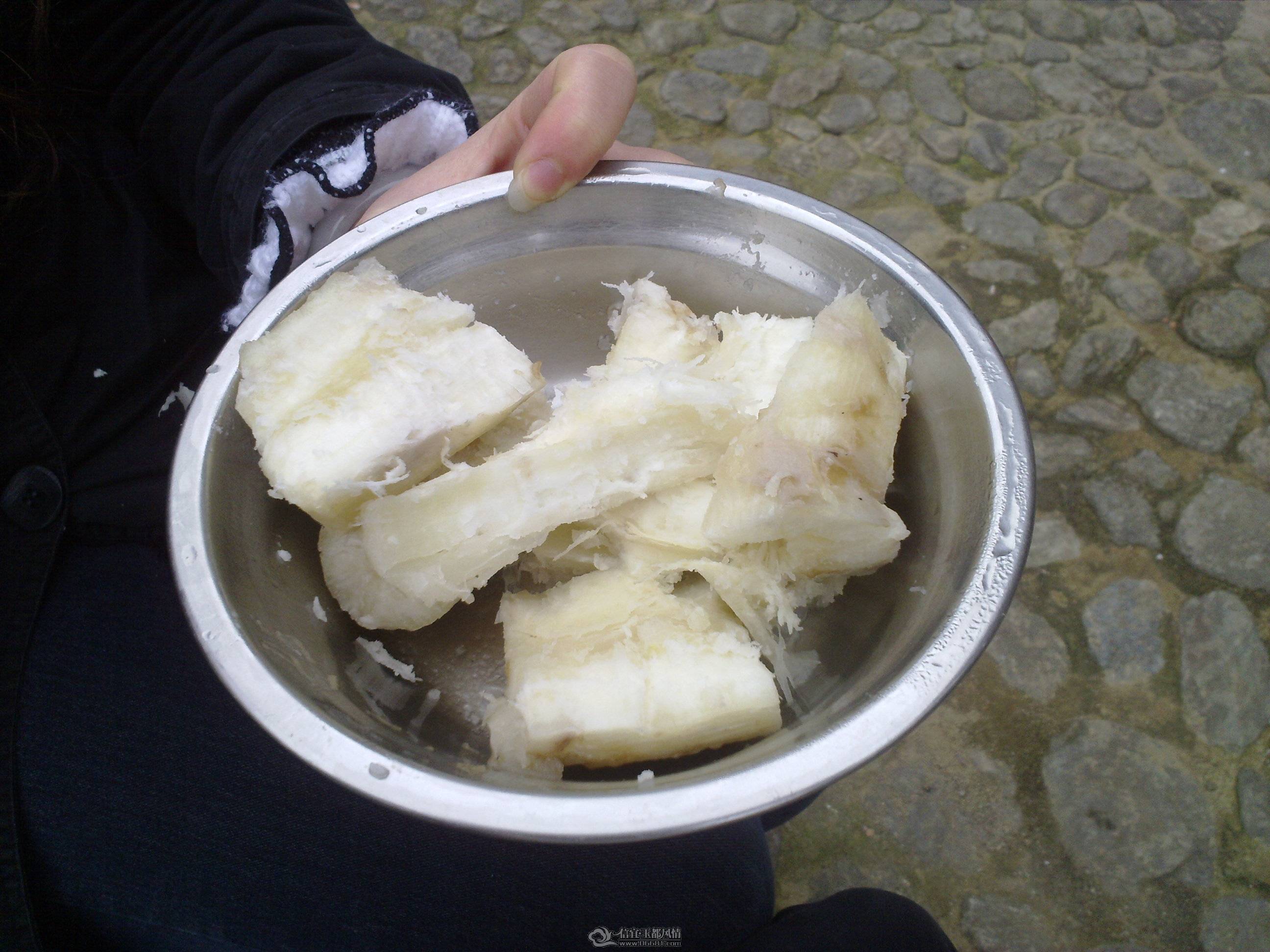 201103241244.jpg