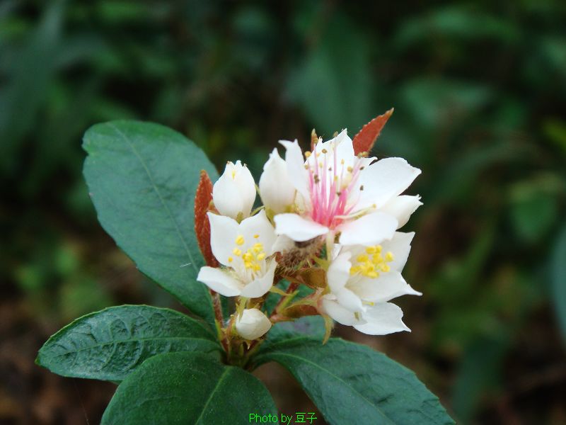 nEO_IMG_DSC08244.jpg