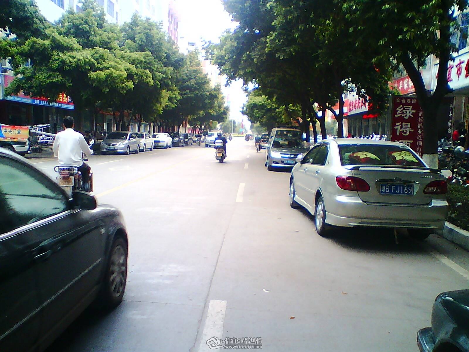IMG0219A.jpg