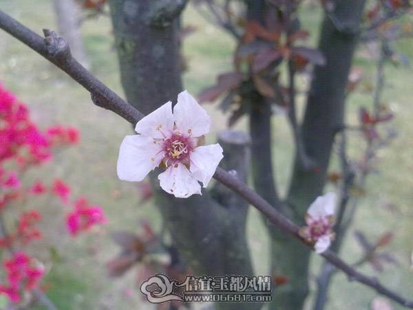 201103201702.jpg