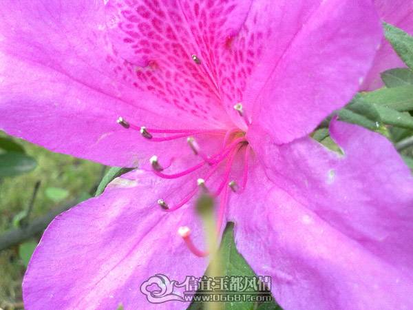 201103201715.jpg